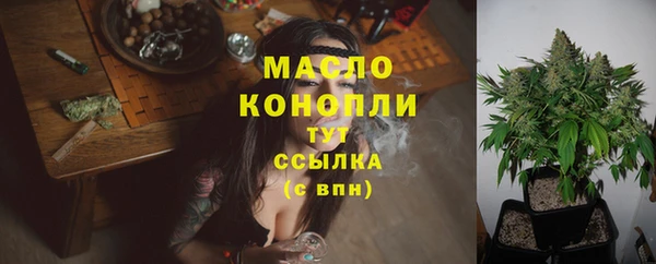 apvp Медногорск