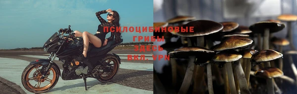 mdpv Медвежьегорск