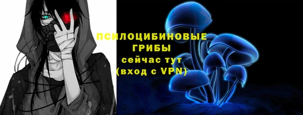 apvp Медногорск
