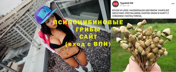 mdpv Медвежьегорск