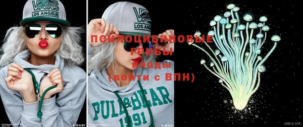 mdpv Медвежьегорск