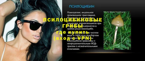apvp Медногорск