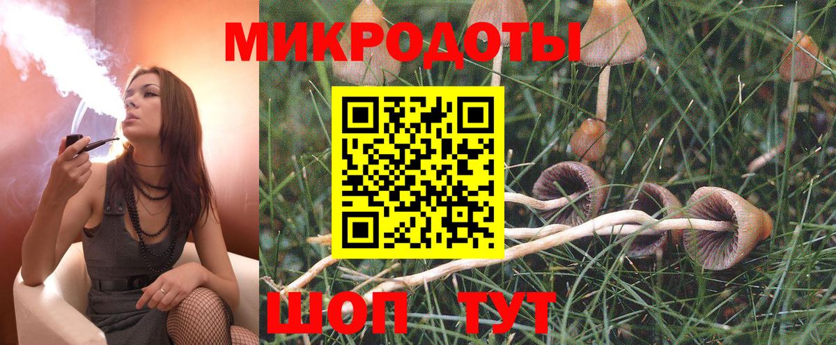 Псилоцибиновые грибы Cubensis  Галлюциногенные грибы мухоморы  Елабуга 