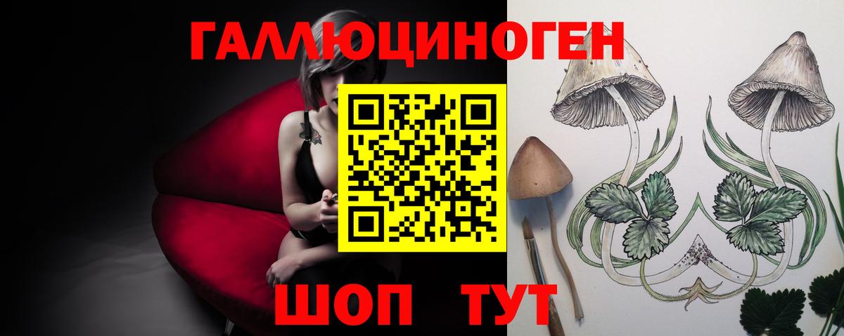 Псилоцибиновые грибы мухоморы Елабуга